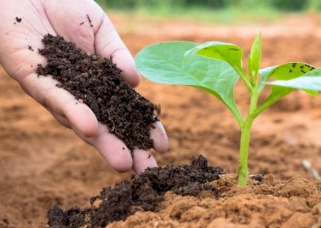 Cresce a procura por bioinsumos para driblar a alta de preços dos fertilizantes