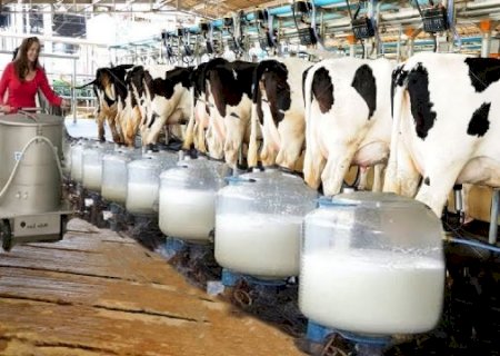 Ganha espaço entre os produtores o Leite A2, para pessoas alérgicas
