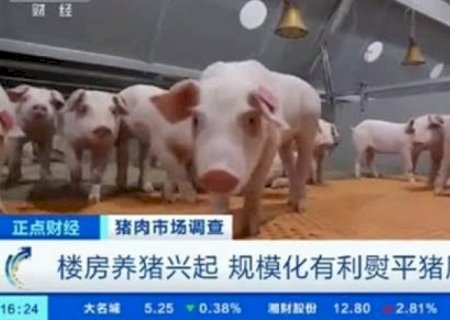 Importações de carne pela China caem 36% em abril, diz alfândega