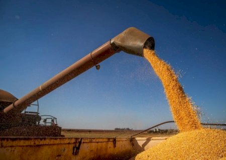 Brasil caminha para superar 271 milhões de toneladas na safra 2021/22