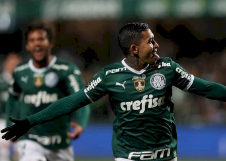 Palmeiras sobra no Brasileiro; na arquibancada, Morumbi traz lições de amor