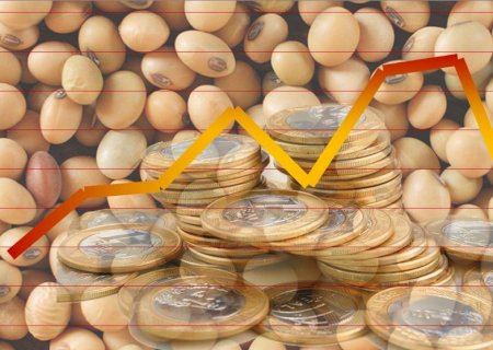 Preços da soja caem de forma generalizada no Brasil pós-USDA