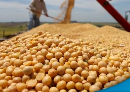 Brasil deve exportar 7,3 milhões de toneladas de soja em julho