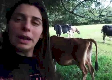 Produtora desabafa sobre “preço do leite entre R$ 7 e R$ 10'