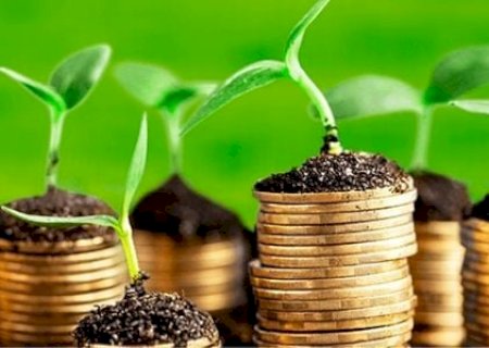 Crédito rural será o grande desafio do próximo governo, avalia executivo da CNA