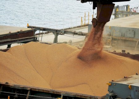 Brasil exportou 9% a menos de soja no 1º semestre em comparação a 2021