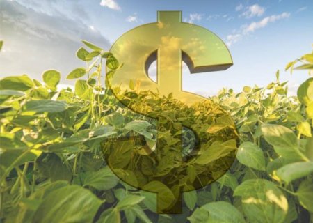 Produtores ganham condições diferenciadas para financiamento agrícola