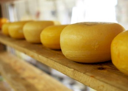 Fabricantes de queijo adaptam produção para lidar com leite mais caro