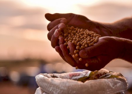 Produtor de soja: fique ligado no que vai movimentar o mercado nesta semana