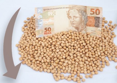 Soja: preços no Brasil não resistem à queda do dólar e fecham em baixa