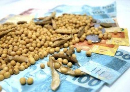 Soja: dólar em alta suporta queda de Chicago e sustenta preços no Brasil