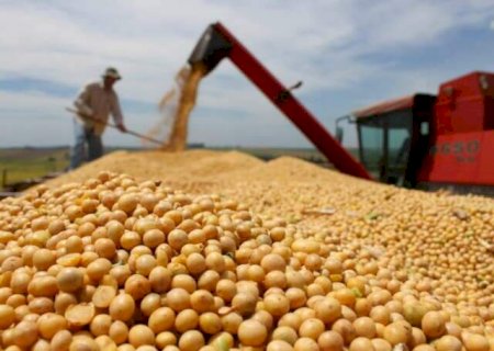 MS exportou US$ 6,2 bilhões em nove meses