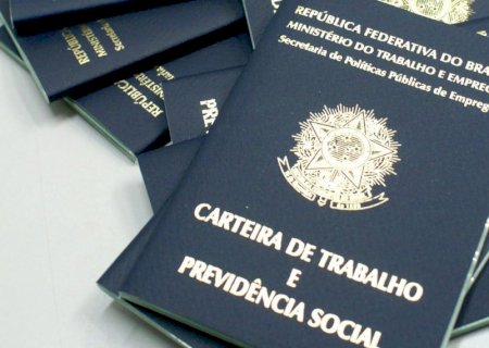 Lavouras temporárias são responsáveis por 69,3% das novas vagas de emprego no campo em Goiás