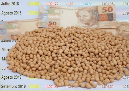 Preço da soja fecha em alta, mas produtor é cauteloso na negociação