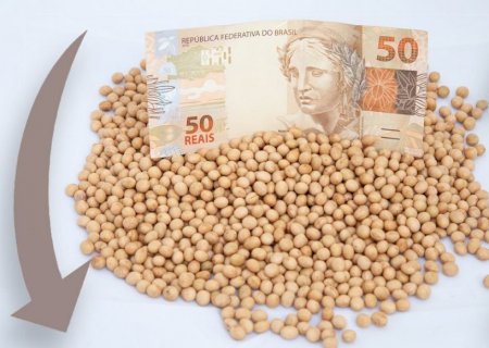 Preços da soja no Brasil terminam a semana em alta