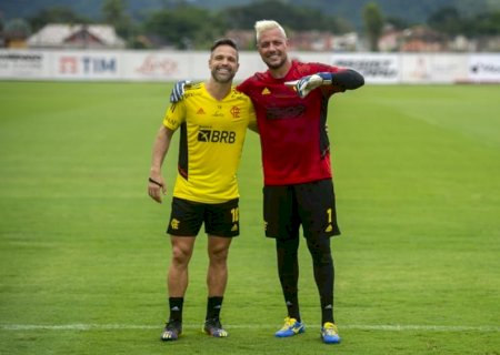 Números, títulos e marcas provam importância de Diego Ribas e Diego Alves no Flamengo