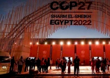 Brasil fica de fora de parceria por florestas na COP27