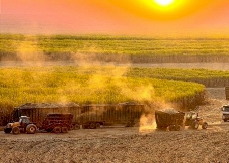 “Vamos plantar safra 2022/23 grande;há potencial de superar dados da Conab'