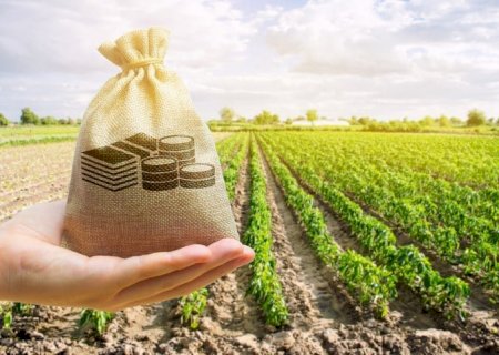 Desembolso do crédito rural chega perto de R$ 175 bilhões até novembro