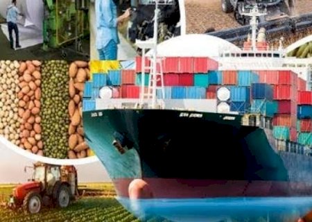 Exportações do agro vão a US$ 160 bi, mas importações sobem para US$ 50 bi | Brasilagro