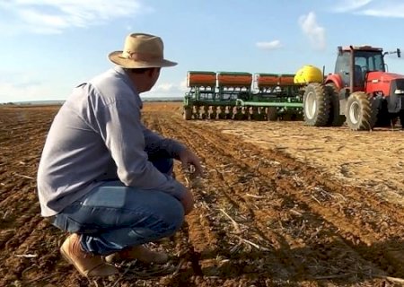 Plantio da soja em Mato Grosso encerra marcado pela irregularidade climática