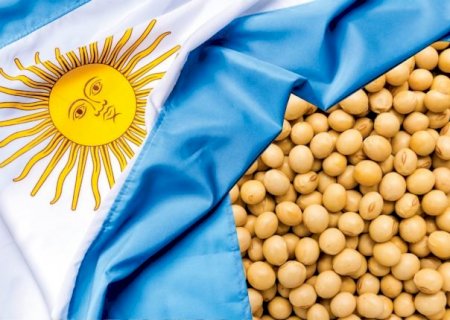 Vendas de soja da Argentina se aproximam de 80% da safra, abaixo do ano anterior