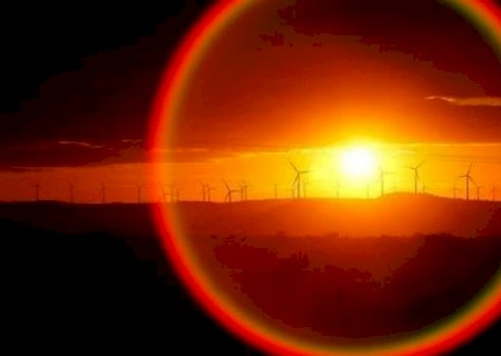 “Empregos verdes' crescem no Brasil; sustentabilidade exige novas funções | Brasilagro