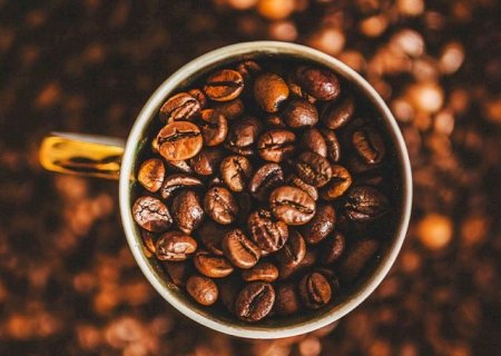 Conab prevê produção de 232 mil sacas de café em Mato Grosso
