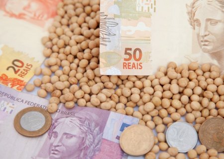 Soja: Brasil tem dia volátil, queda predominante e negócios pontuais