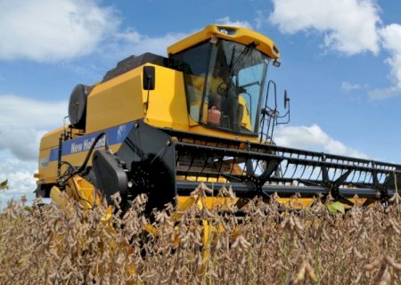 Colheita da soja avança em Mato Grosso e atinge 2,38% da área