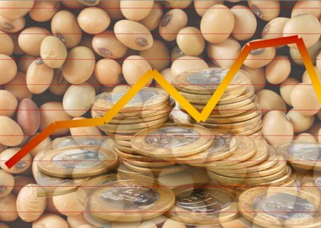 Soja: preços no Brasil retraem com dólar e Chicago opostos