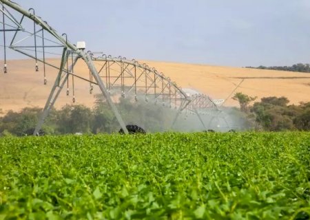 Área irrigada cresce em 2022 e entre os destaque está a pecuária de pastagem