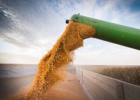Quebra de safra na Argentina dá força ao grão brasileiro