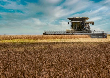 Soja: Brasil tem preços mistos e melhor volume de negócios