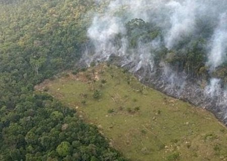 Três quartos do desmatamento sob Bolsonaro têm indícios de ilegalidade