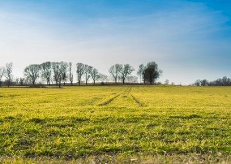 Prefeitura disponibiliza pauta de referência para declaração do ITR 2023