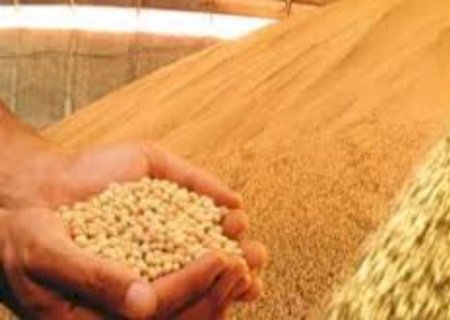 Portaria estabelece período do vazio sanitário para produtores de soja em Mato Grosso do Sul