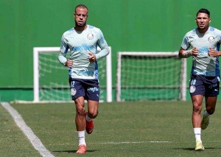 Palmeiras atualiza situação de machucados e inicia preparação para a Libertadores