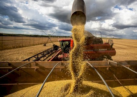 Safra baiana de grãos deve crescer 11,2%, avalia Conab