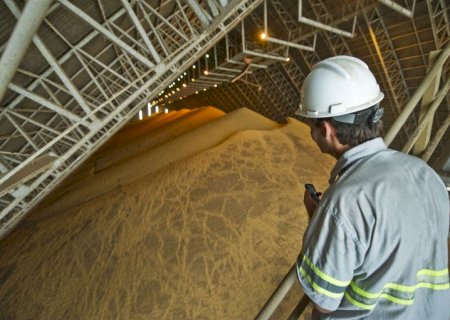 Preços da soja estão em queda nos mercados internacional e doméstico