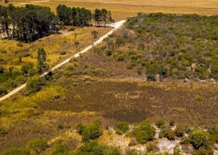 Cerrado tem recorde de desmatamento em abril, segundo Deter
