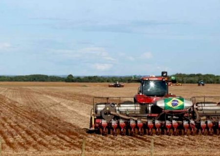 Missão europeia que visitou MS está alinhada à lei antidesmatamento
