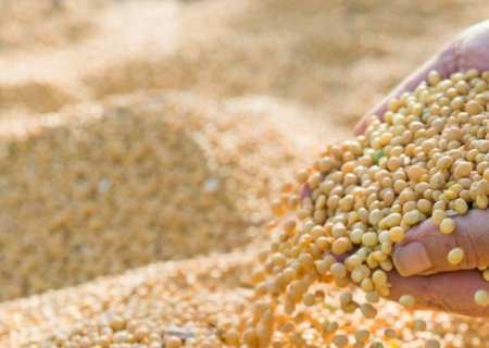 Produtividade maior e presença menor da China ajustam estoques mundiais