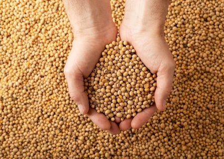 Como o mercado da soja deve ser afetado esta semana?
