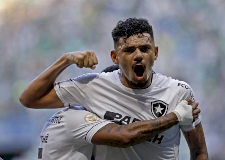 Botafogo é sinal de que Brasil precisa de trabalho