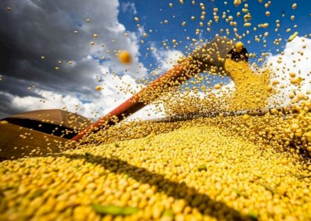 Agricultura do Brasil vai ter 4 safras recordes em 2023
