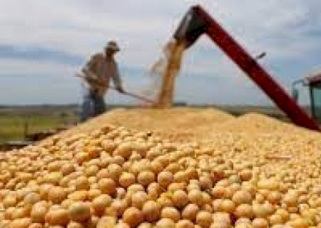 Exportações do agronegócio batem recorde no semestre com alta de 4,5%