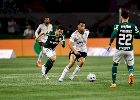 Palmeiras e Flamengo mostram evolução do Brasileiro