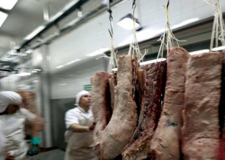 Maiores perdas de receitas ocorrerão na pecuária neste ano