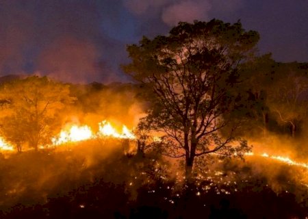 AGOSTO CINZA: Renato Câmara pede conscientização de todos contra incêndios e queimadas